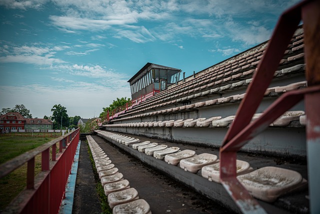 预计谢菲联 预计谢菲联