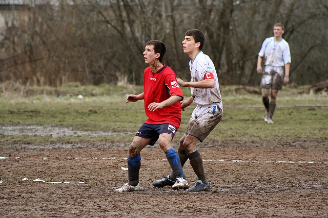 適應性和創 適應性和創