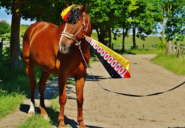 系的真实写 系的真实写