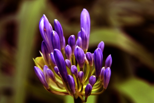 迷的关注 迷的关注