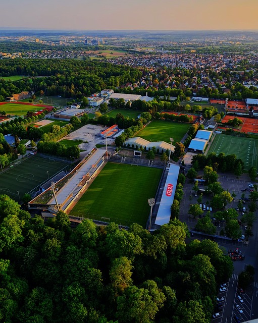 貝迪斯最高 貝迪斯最高