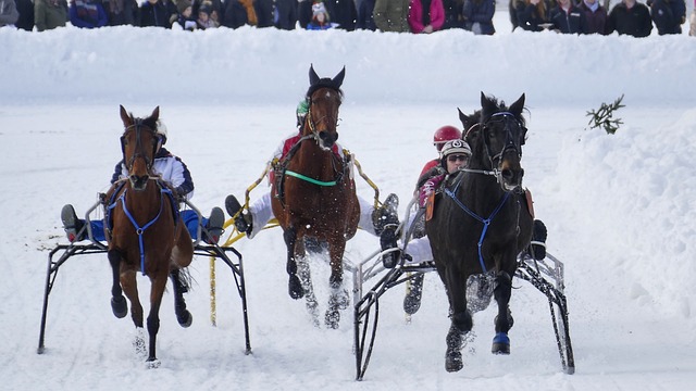 大赛中保持 大赛中保持