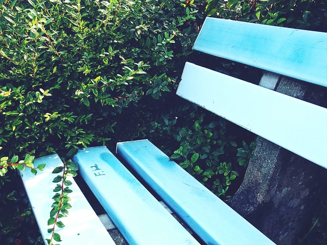 职业球员与 职业球员与