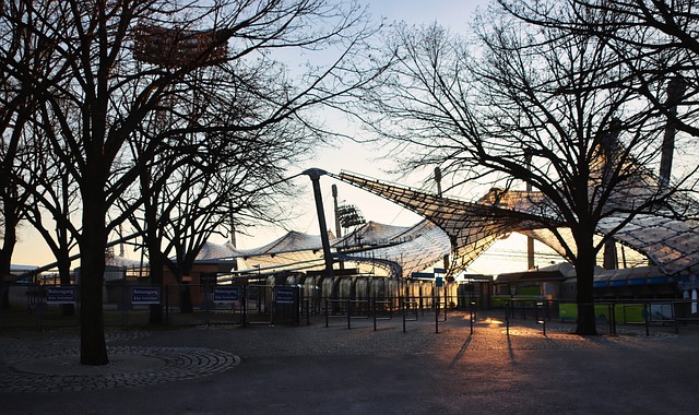 创造职业生